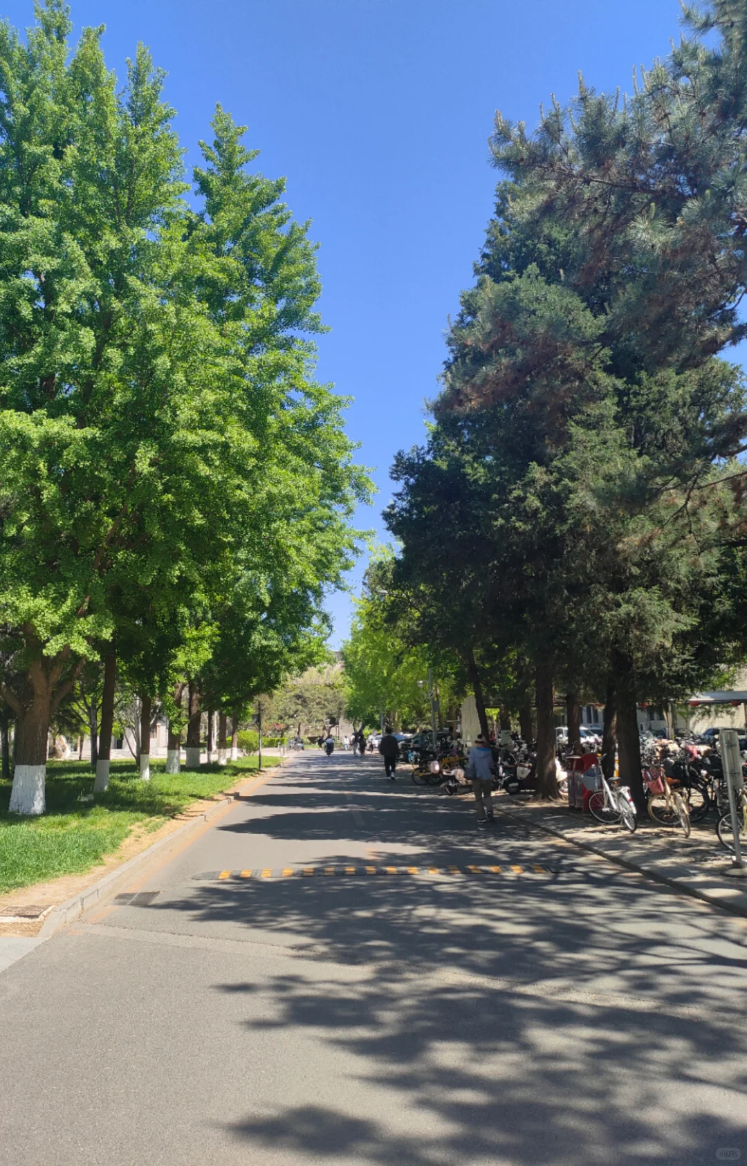 北大图书馆，真的好美呀！