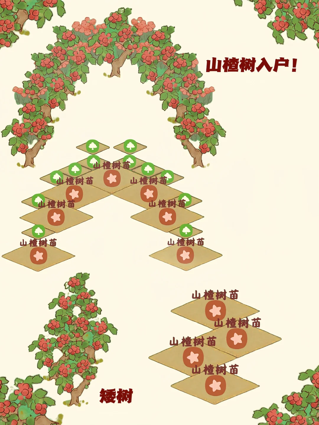 桃源‖????果树合集！