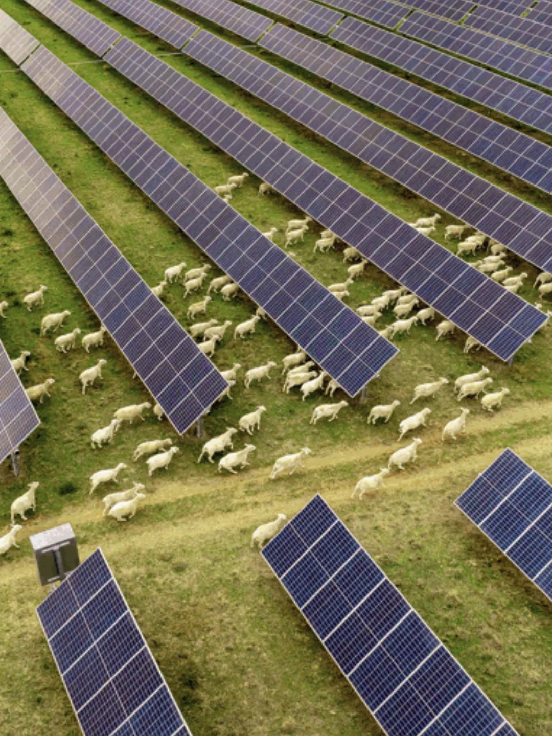 海外资本持续加码澳洲可再生能源市场