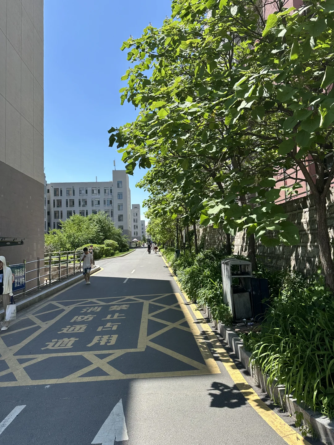 延大图书馆，你让我感到陌生