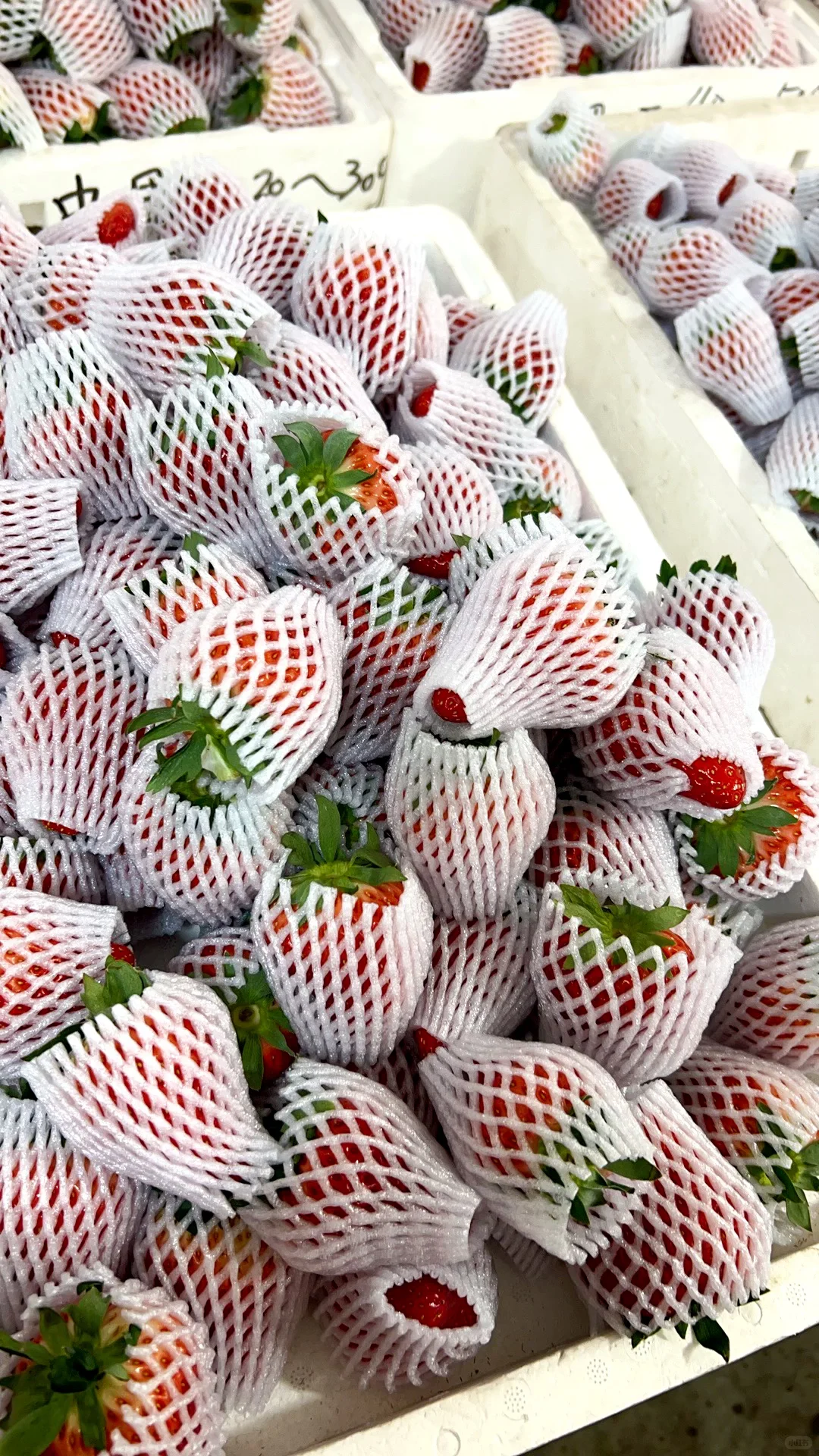 千万不要买/你再忍一忍/马上大降米