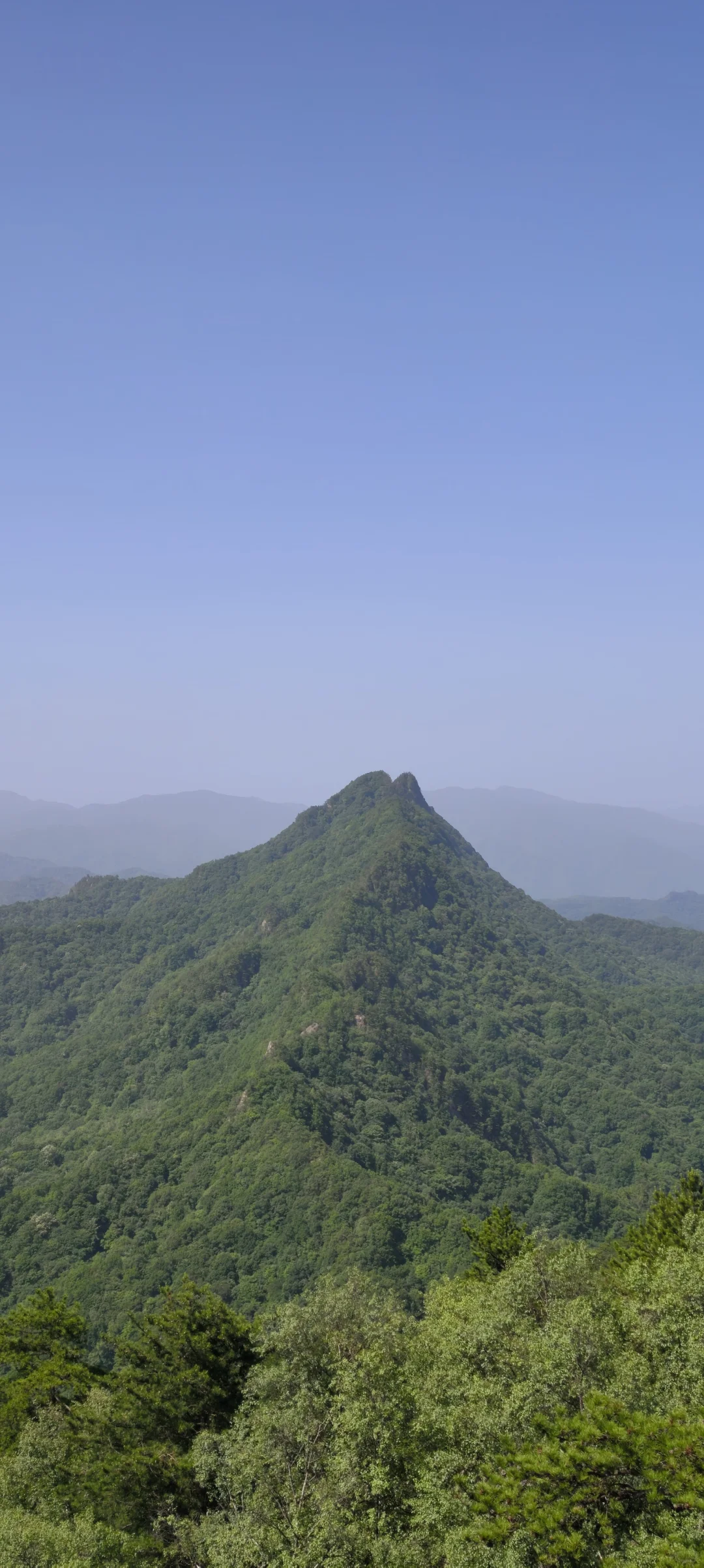 省管林场真职员重磅发文，打破谣言！