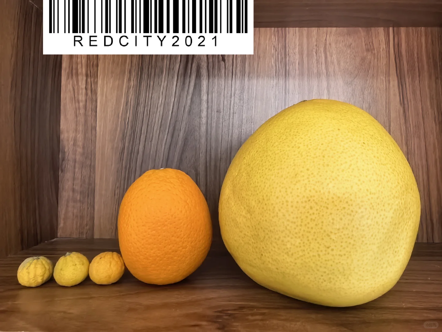 芸香科的朋友们