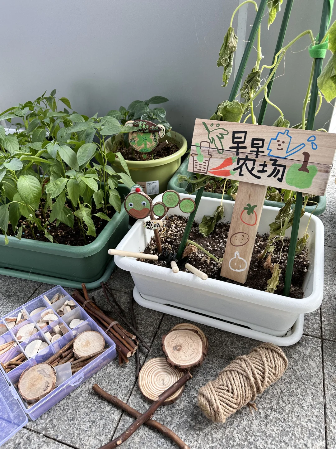 招募｜种菜吧小孩！拥有一块自己的小菜园