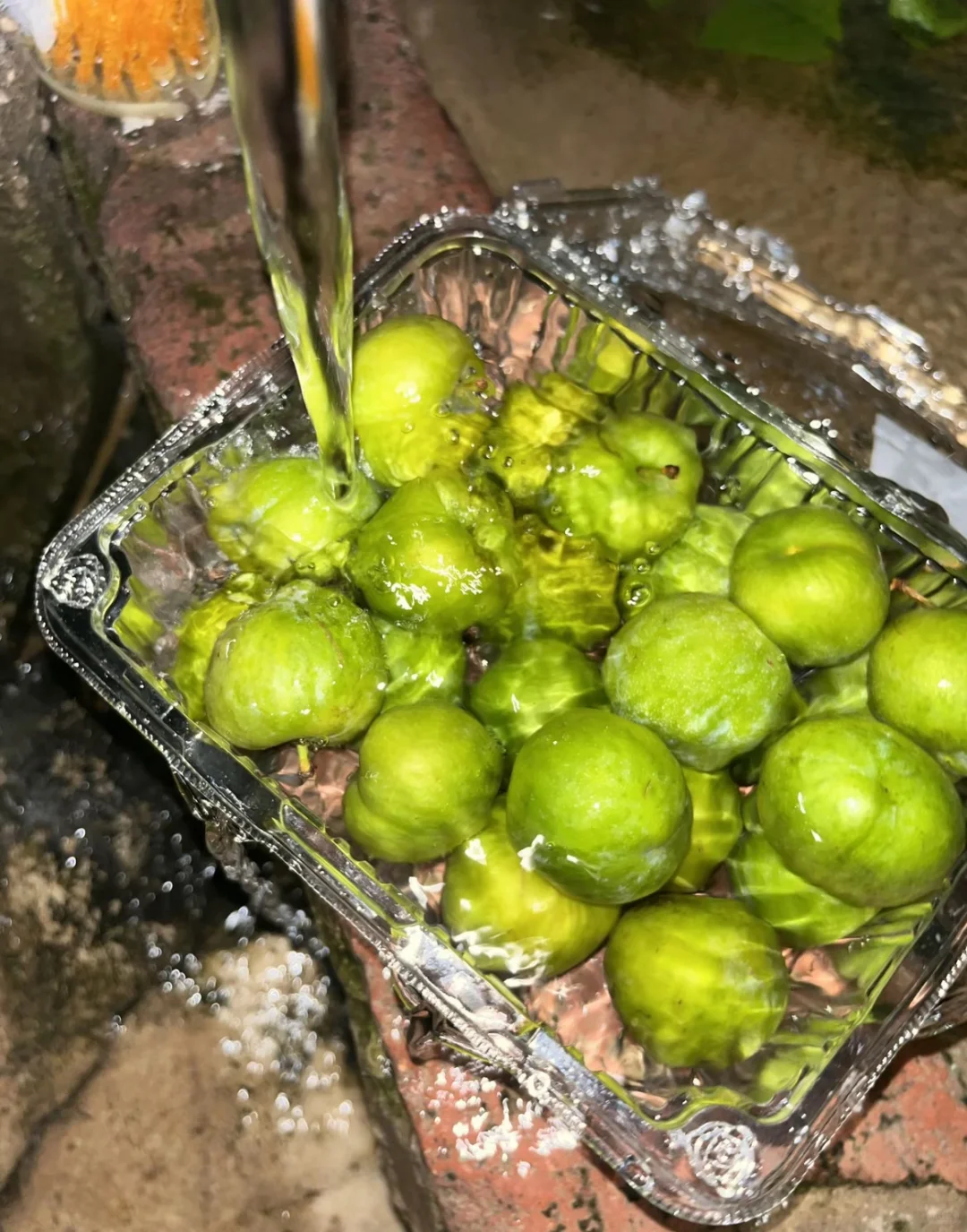 live实况|水果系列?