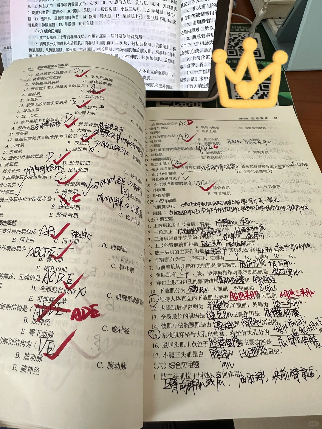 大一医学牲的周末?