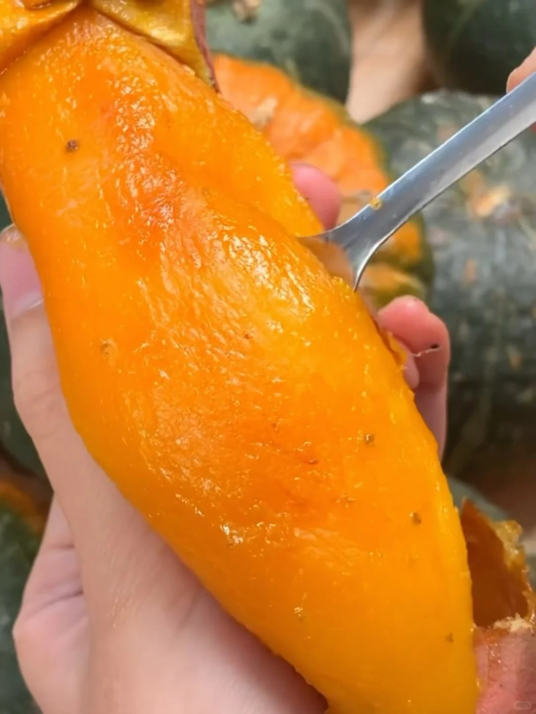 仓中红薯怕坏！三斤才9.9！爸妈催⏰