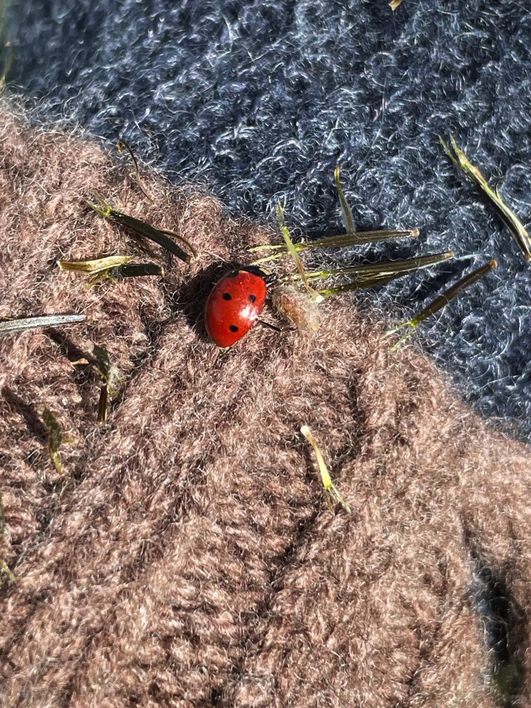 在自然里轻轻走走 就有丰富的收获和答案