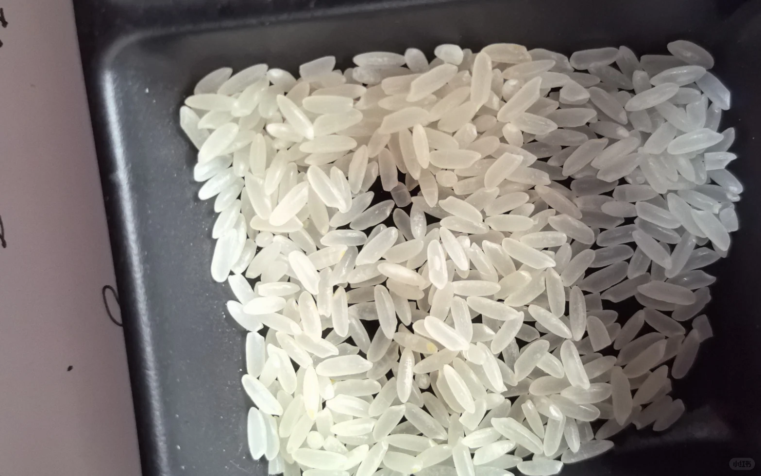 专业供应餐饮优质大