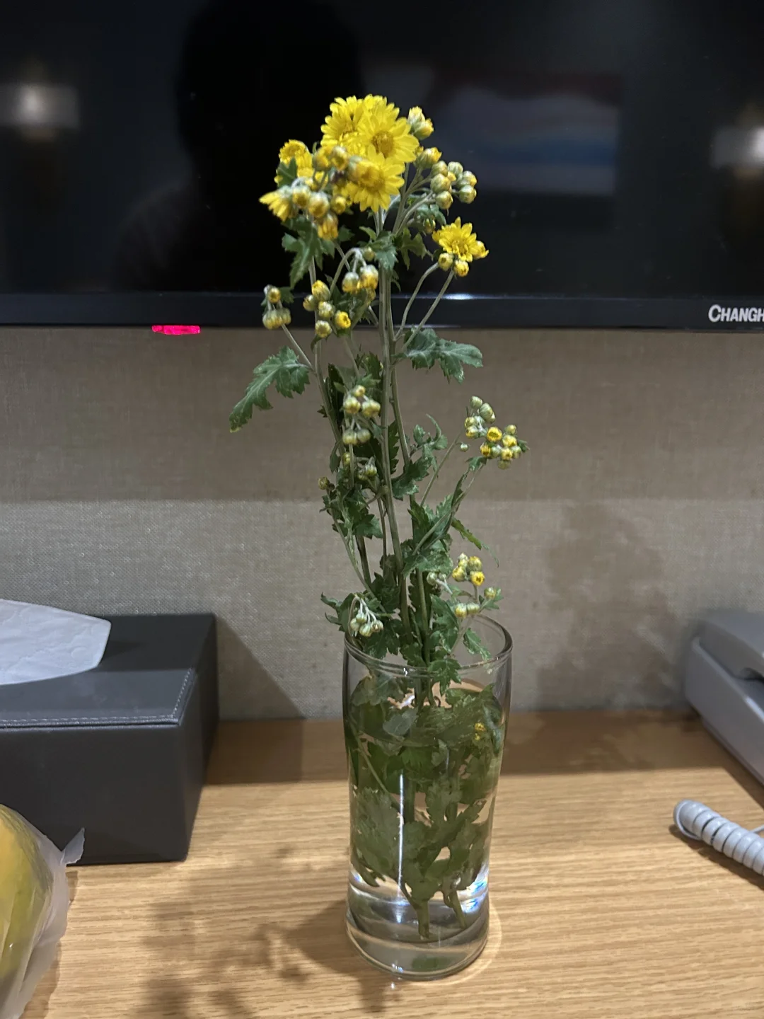 林业人出差日常