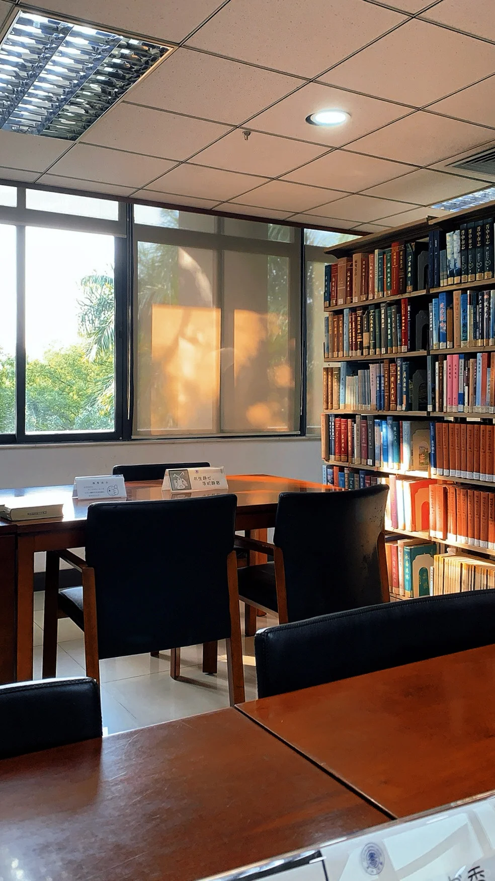 中大南校幸福度最高的自习位?