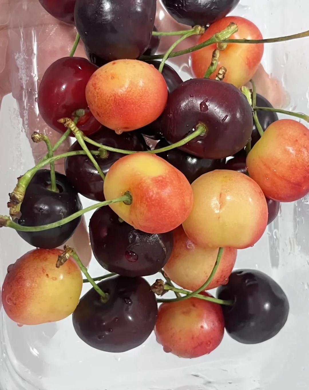 live实况|水果系列?