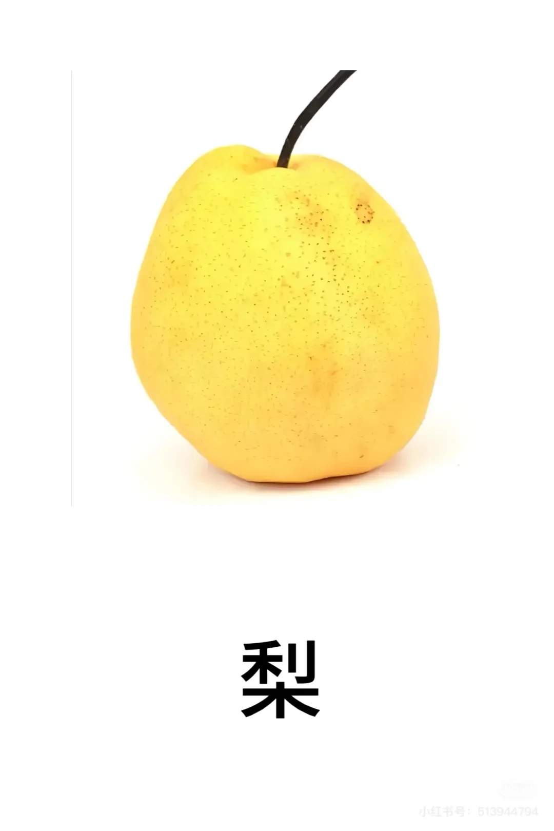 认识水果