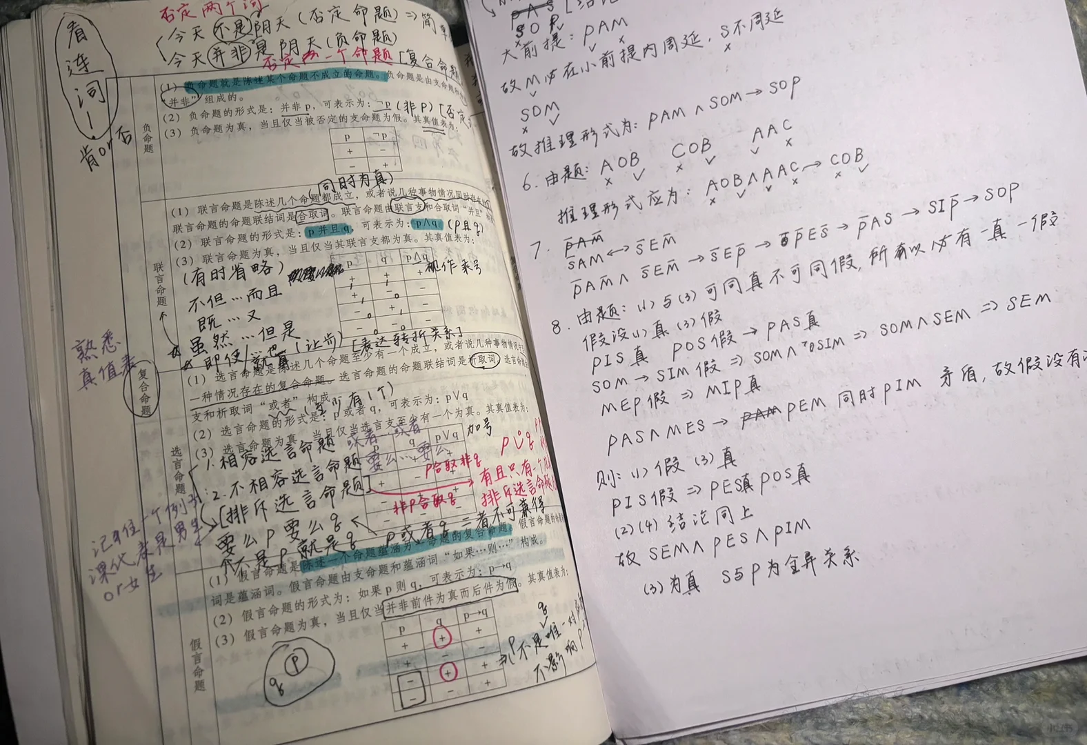 法大Plog｜大背特背?期末月中