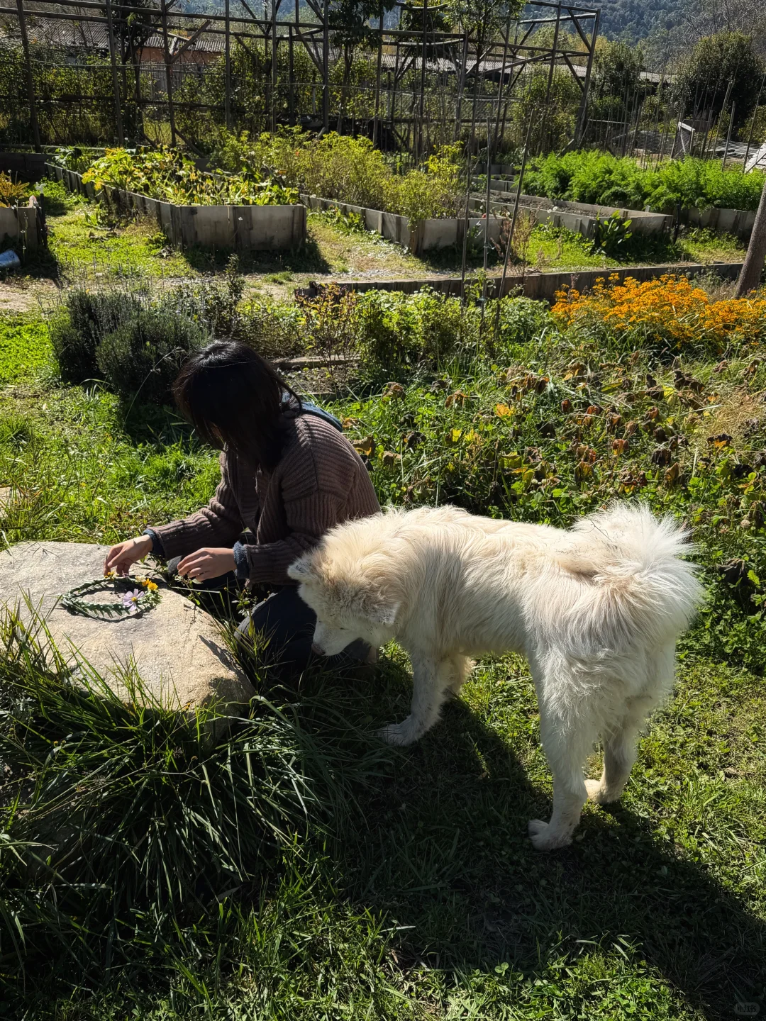 在自然里轻轻走走 就有丰富的收获和答案