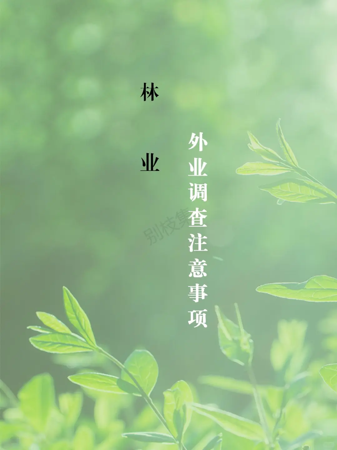 林业外业调查注意事项