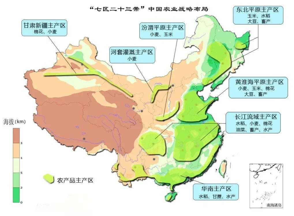 ?粮食知多少 | 我国主要粮食作物大揭秘