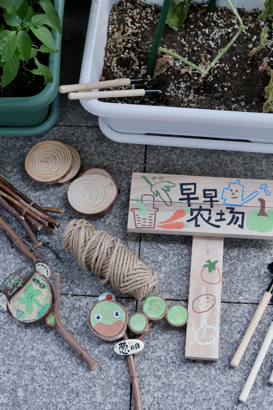 招募｜种菜吧小孩！拥有一块自己的小菜园