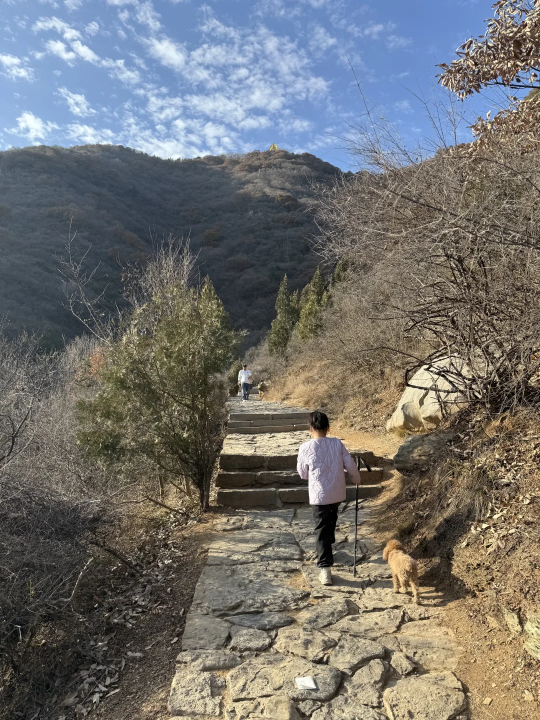 一周一山⛰️-第五十五山-达摩像.少林寺