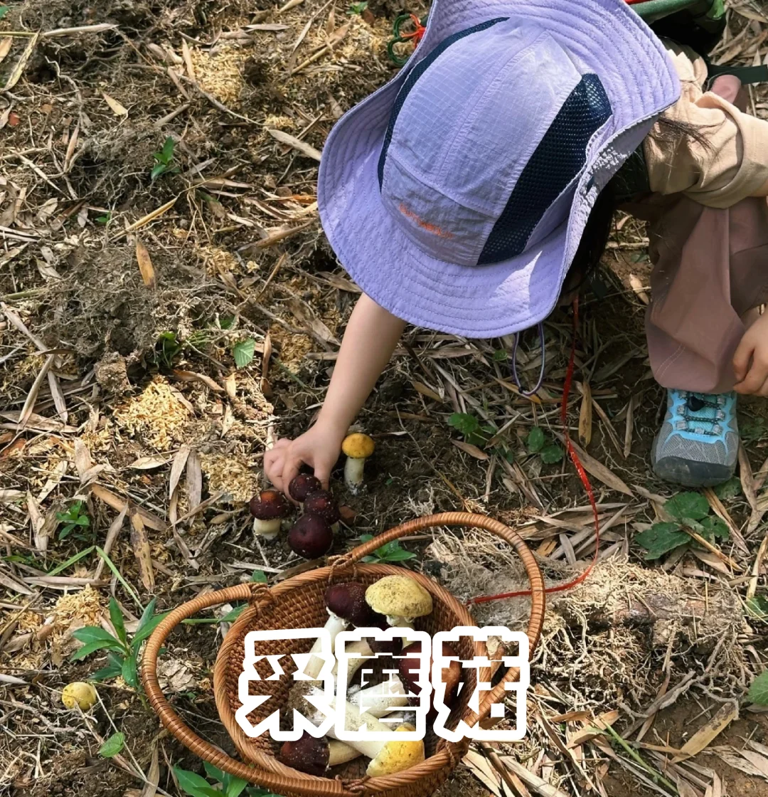 11月份适合杭州亲子活动合集|家长们请查阅