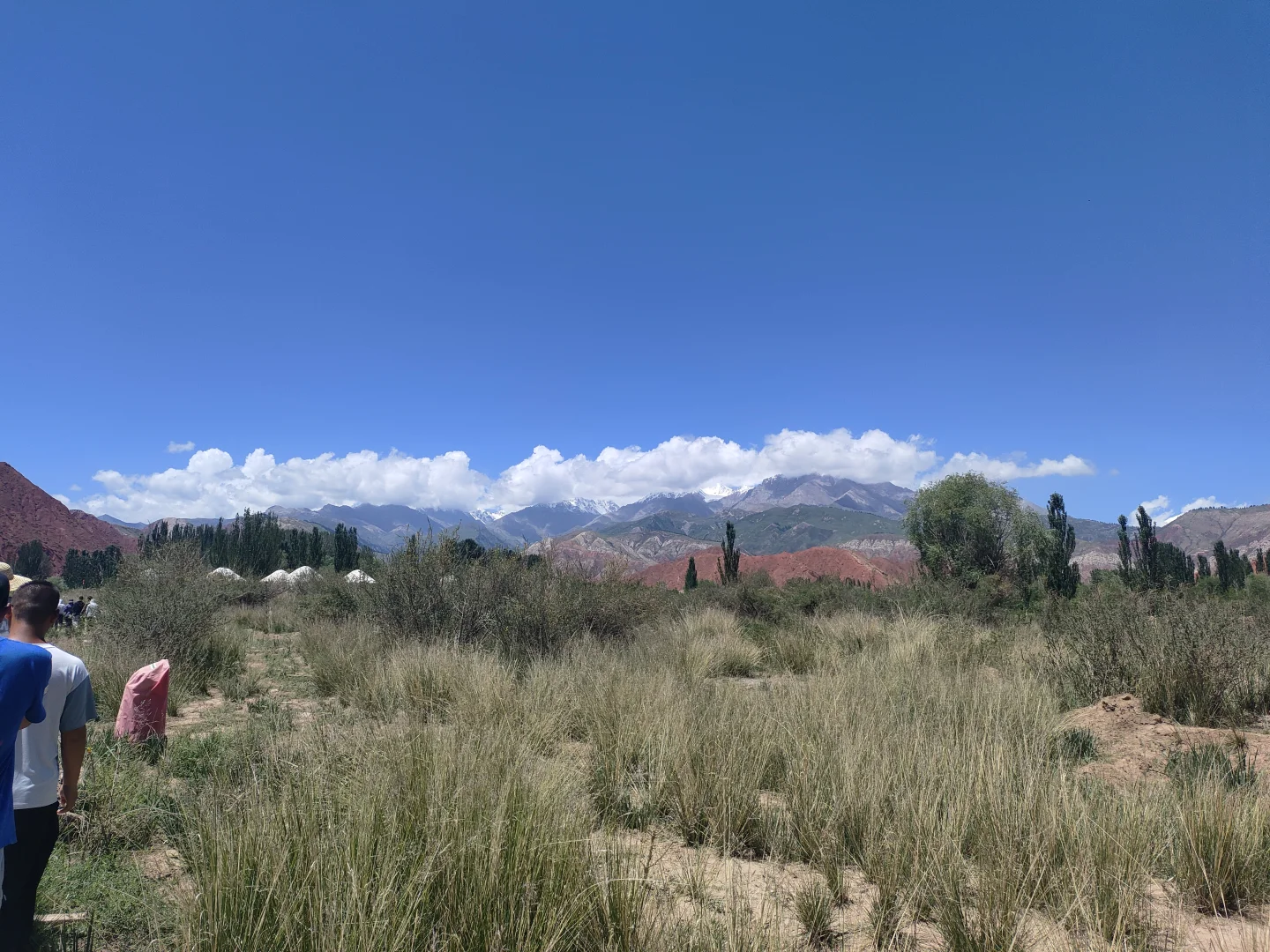 想看全国各地林学学生出外业的照片