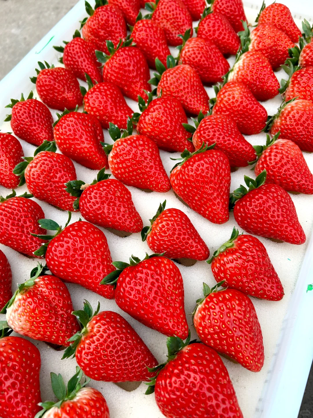 千万不要买/你再忍一忍/马上大降米