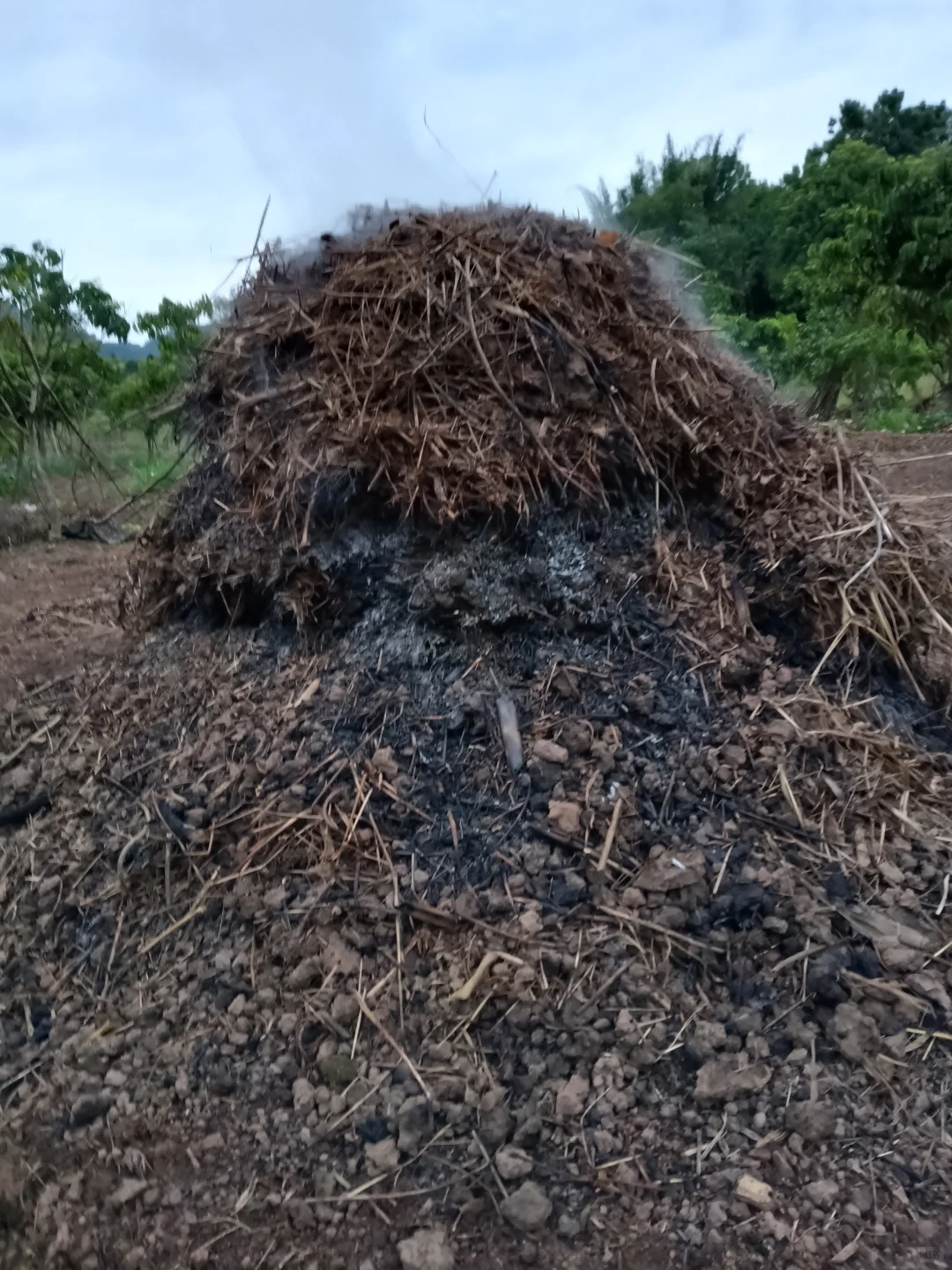 老法子种出的天然味道
