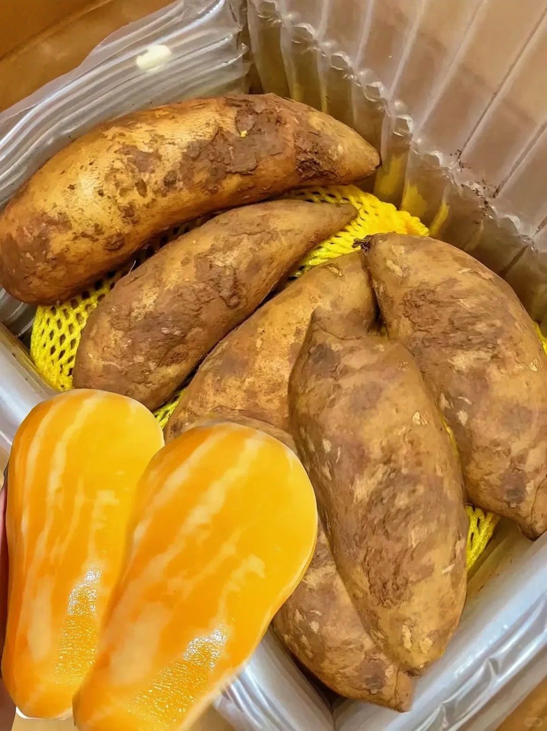 稀奇古怪它不是红薯它是长在土里的水果