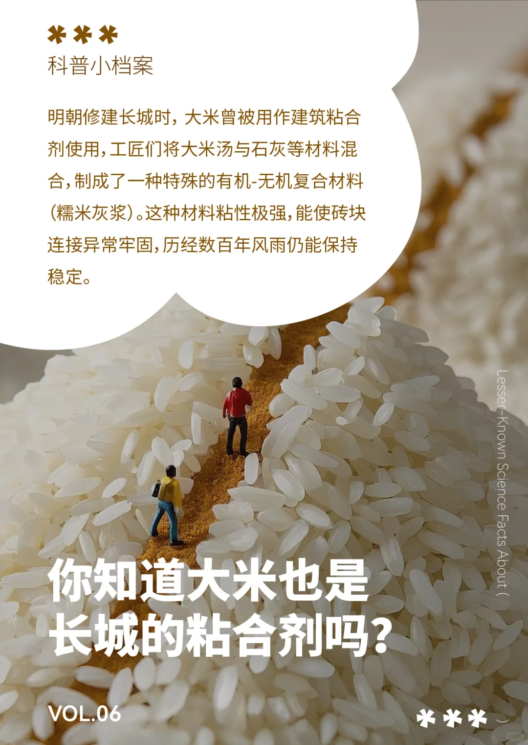 ?自然通识小百科VOL.6 | 粮食说明书