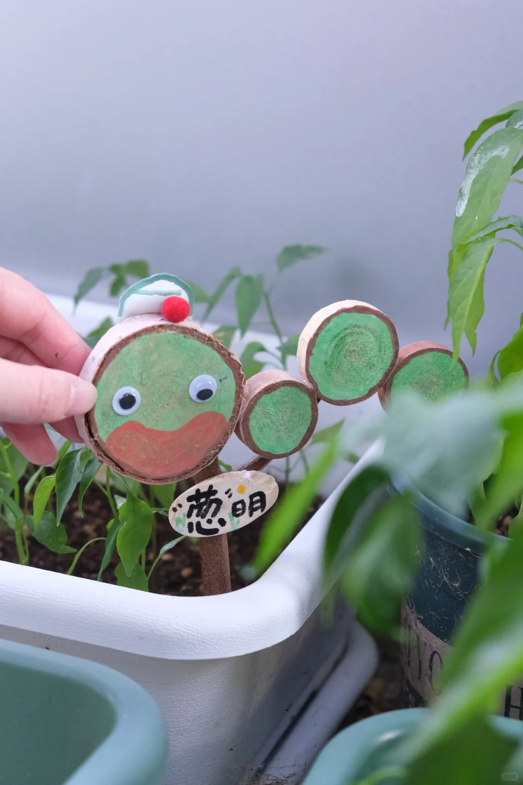 招募｜种菜吧小孩！拥有一块自己的小菜园