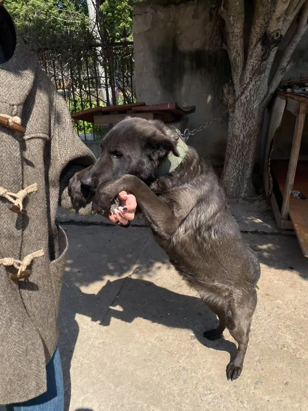 芜湖湾沚家具工厂，好适合中古风装修?