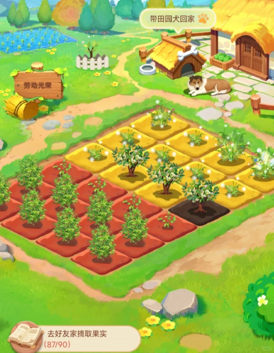 周末别躺了 带娃去地里当“小偷”！?