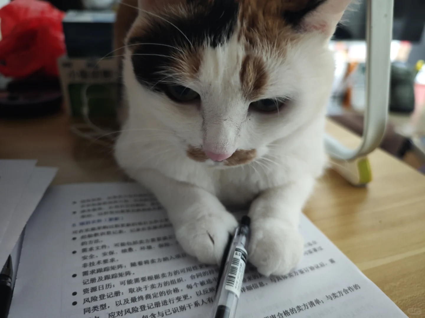 day16丨在职备考软考高项（招投标）