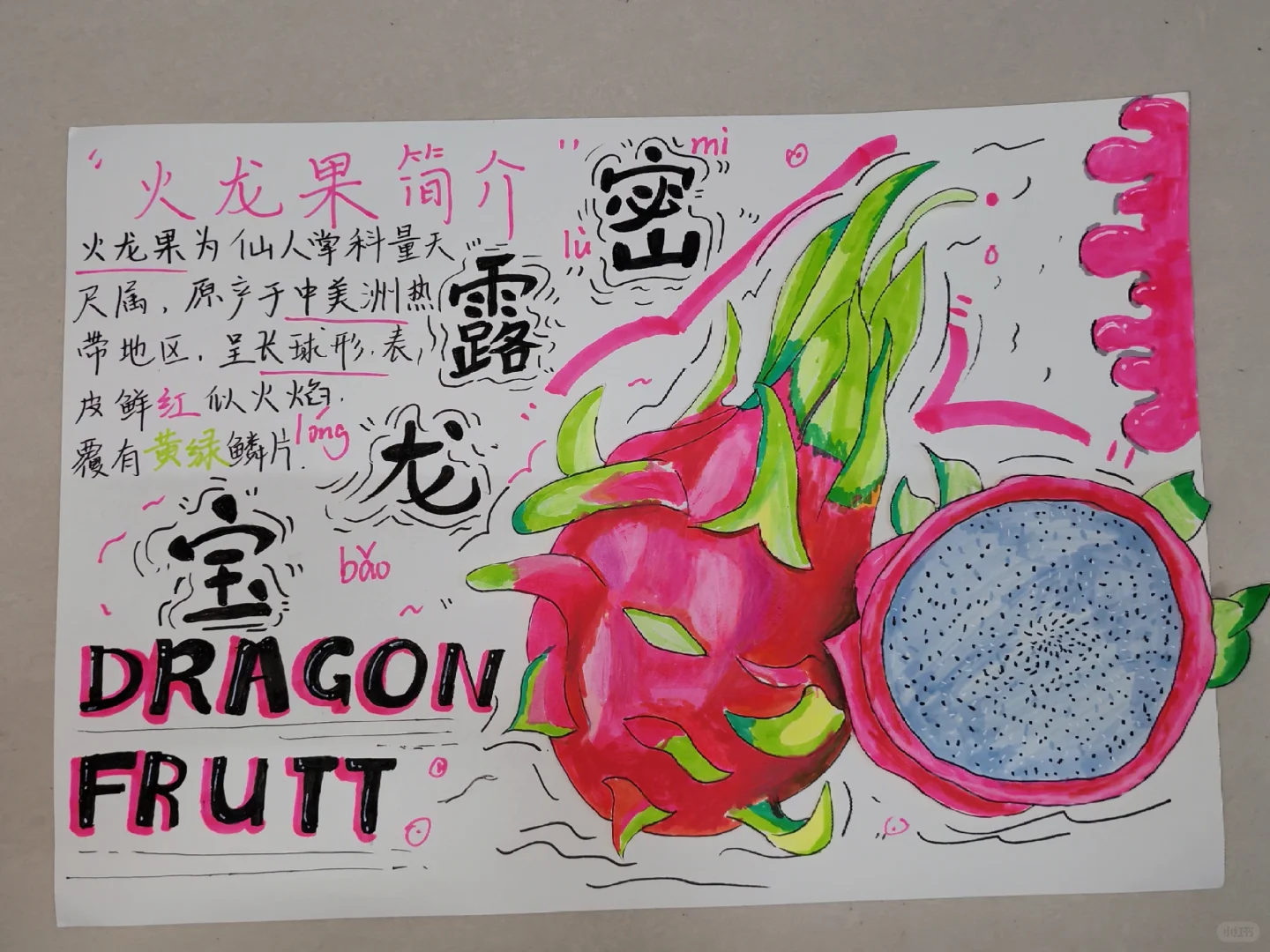 原创绘本《水果王国》学前教育美术期末作品