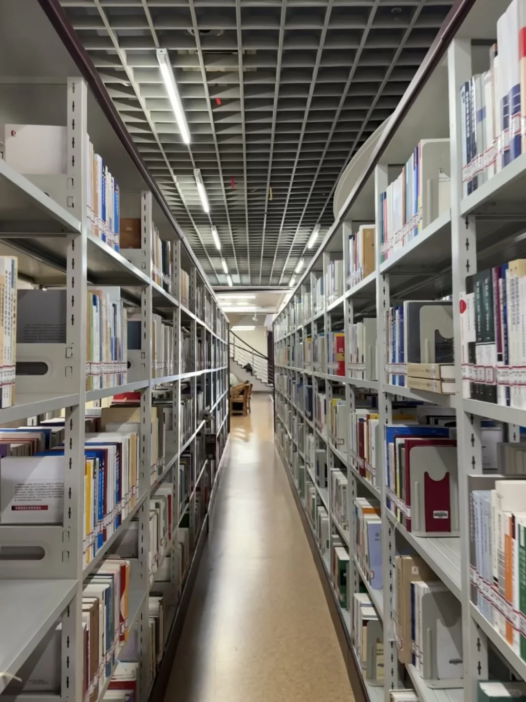 主打一个来都来了