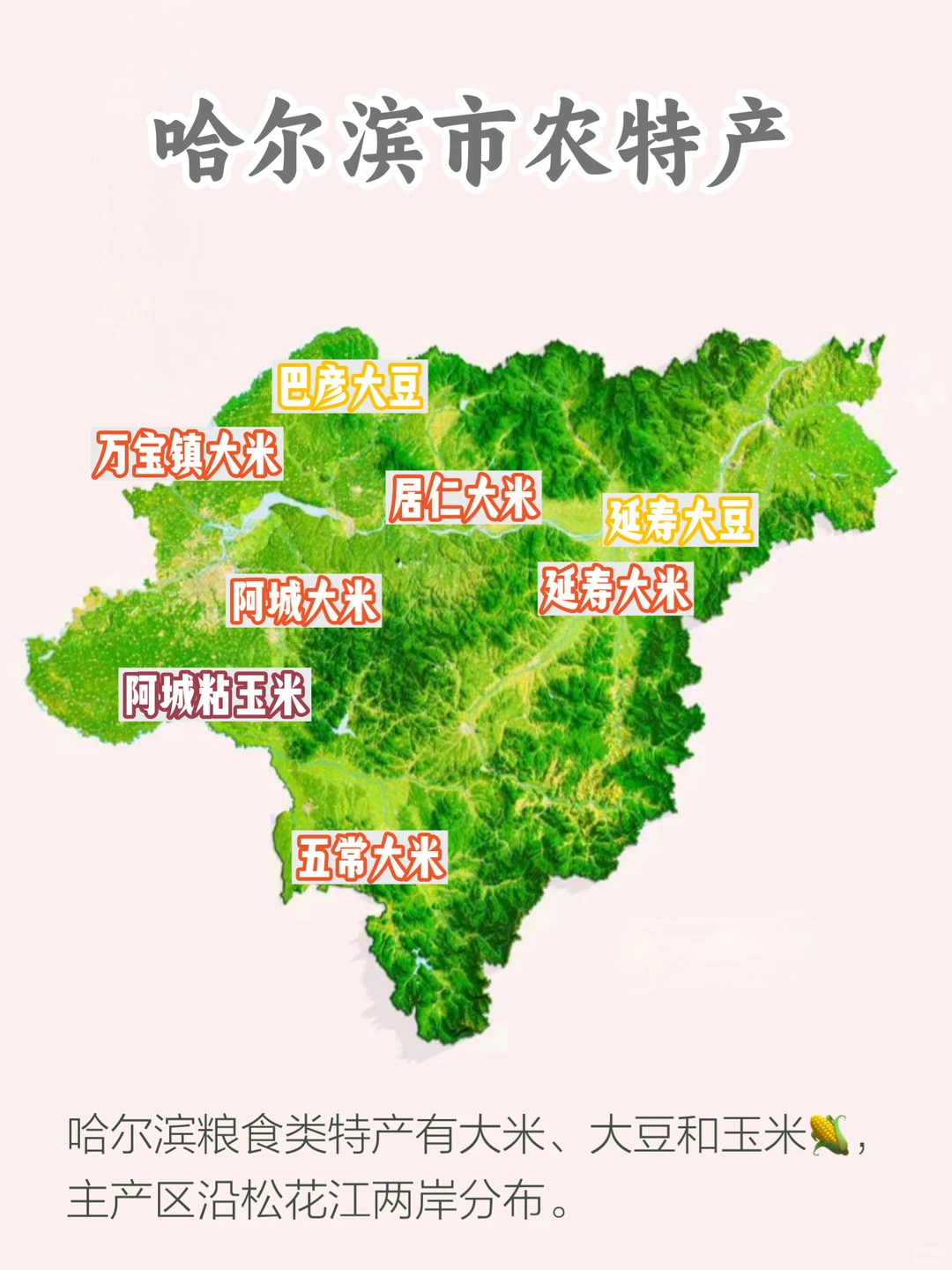 黑龙江特产，哈尔滨市的3大名特优农产品