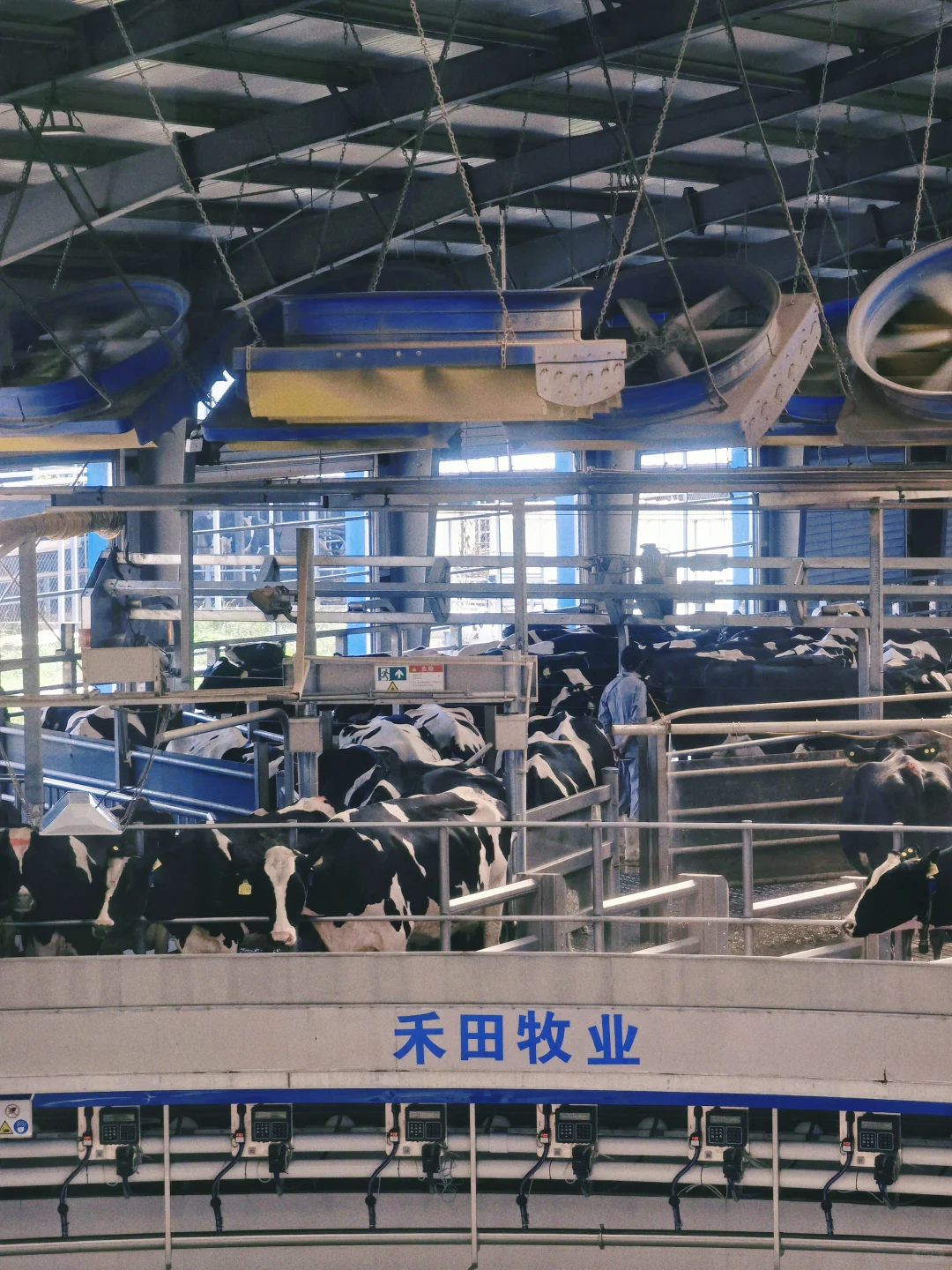 秦皇岛政企鲜奶天花板！?牧场直供都选她