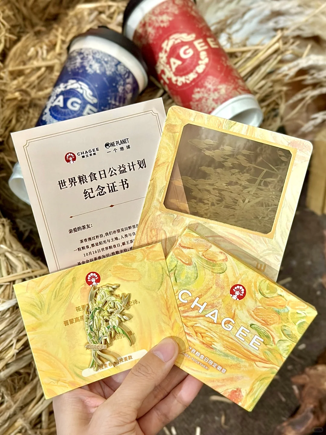 看看茶姬的粮食日周边?缩小版农作物超可爱