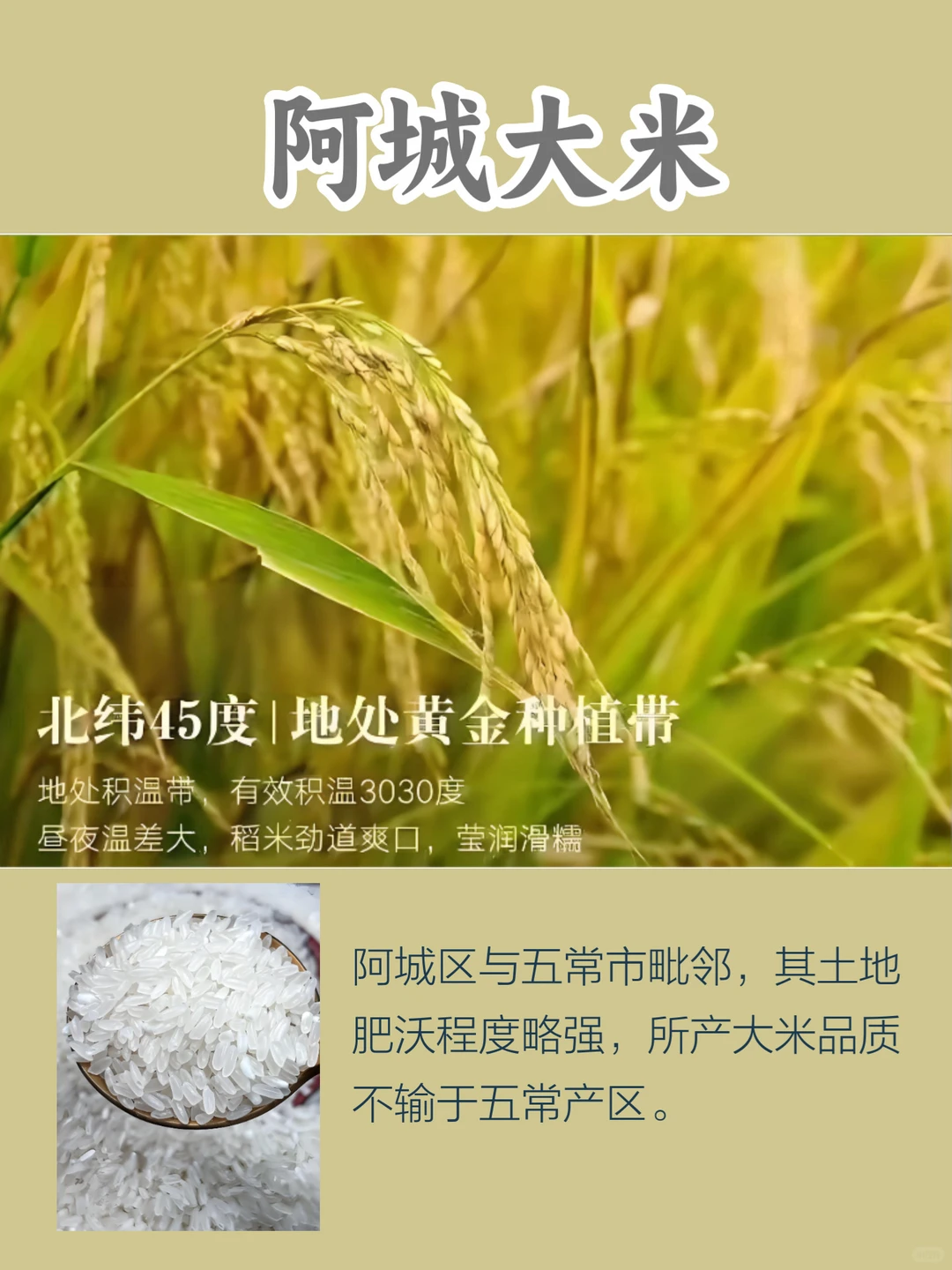 黑龙江特产，哈尔滨市的3大名特优农产品