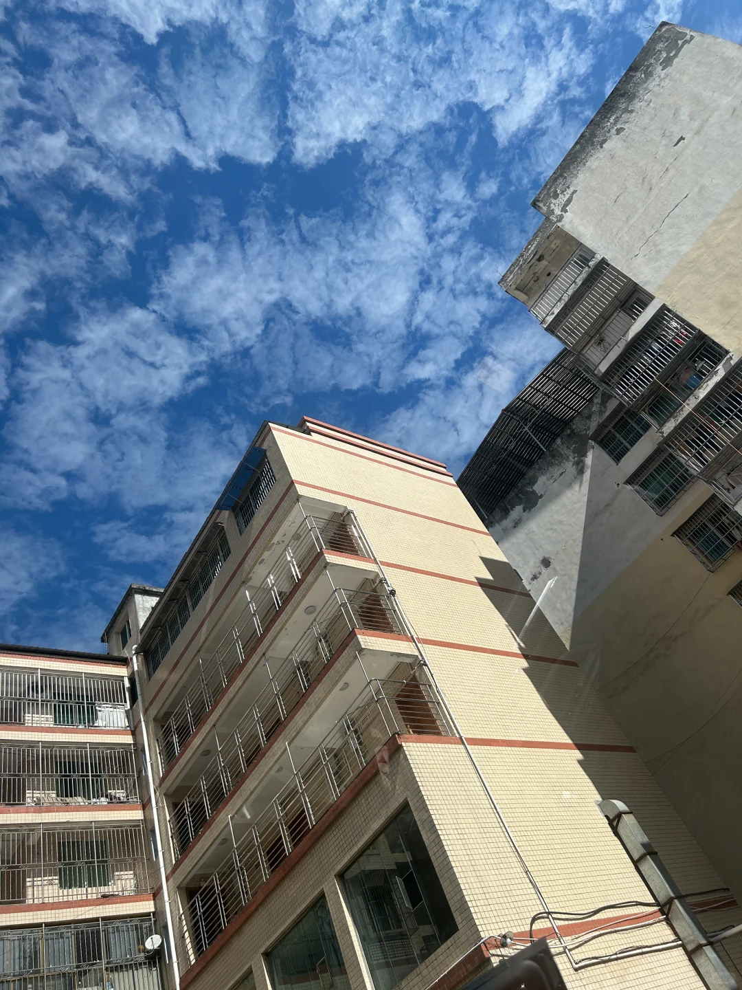 林业人出差日常