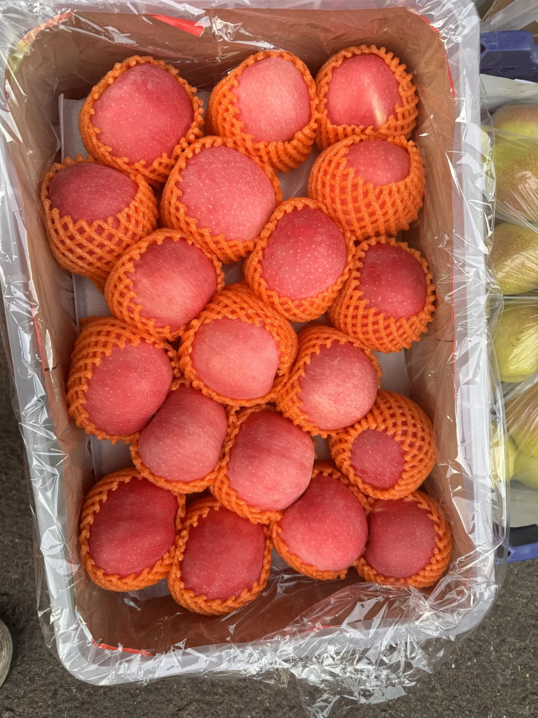 2025年12月5日穗虔优农水果批发价格