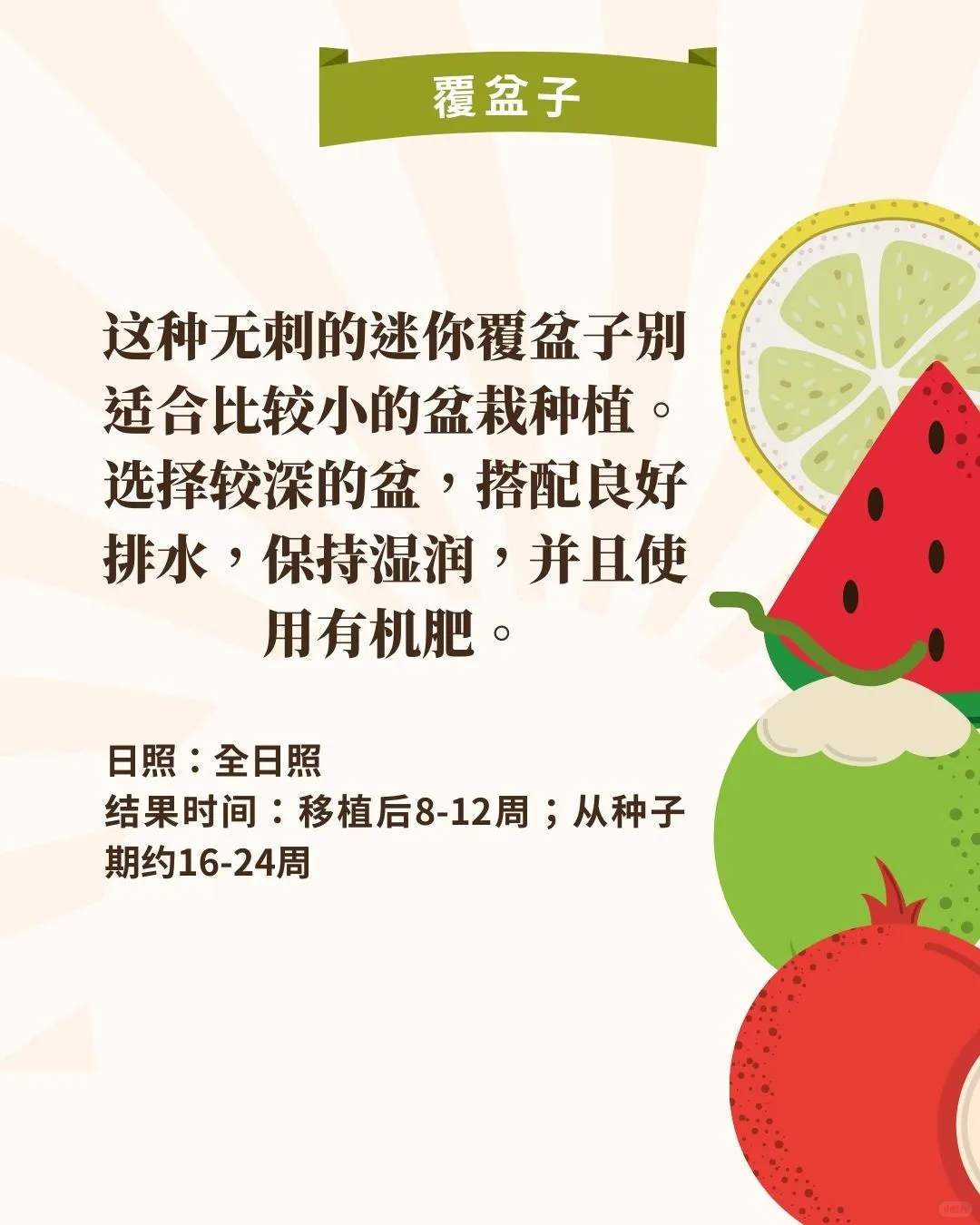 什么‼️懒人也可在家种水果?3个月就能吃到