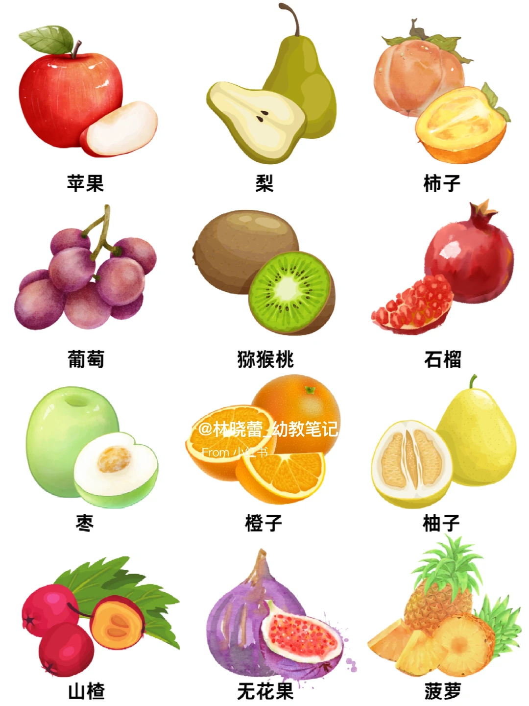 秋天水果环创素材?打印