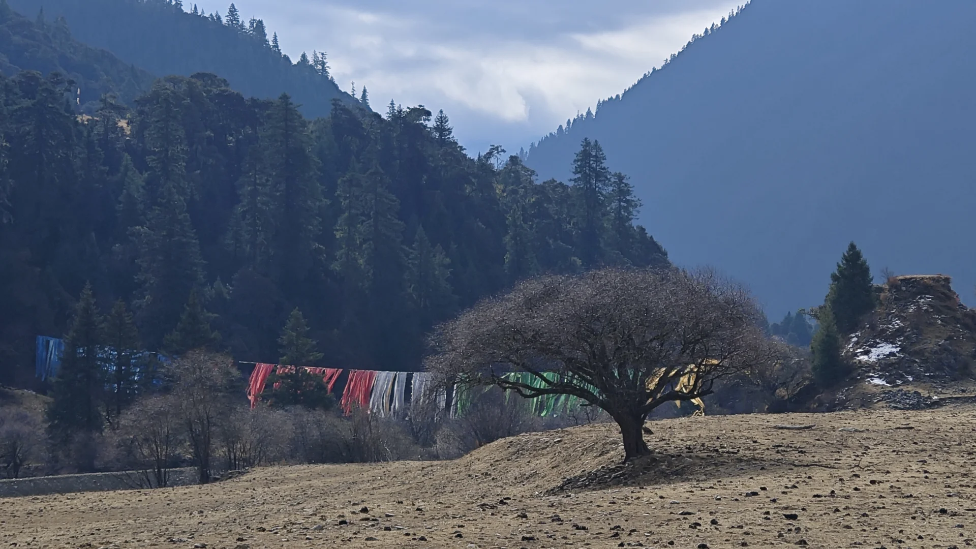 12.3毛丹线成功穿越