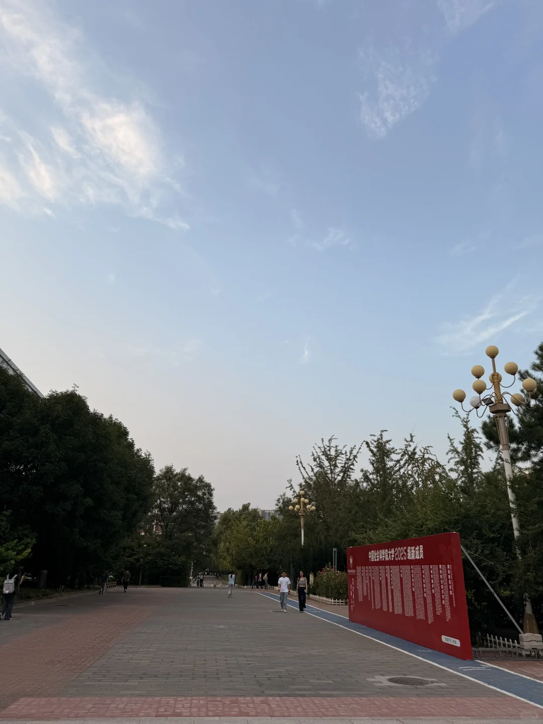 学习还是得图书馆