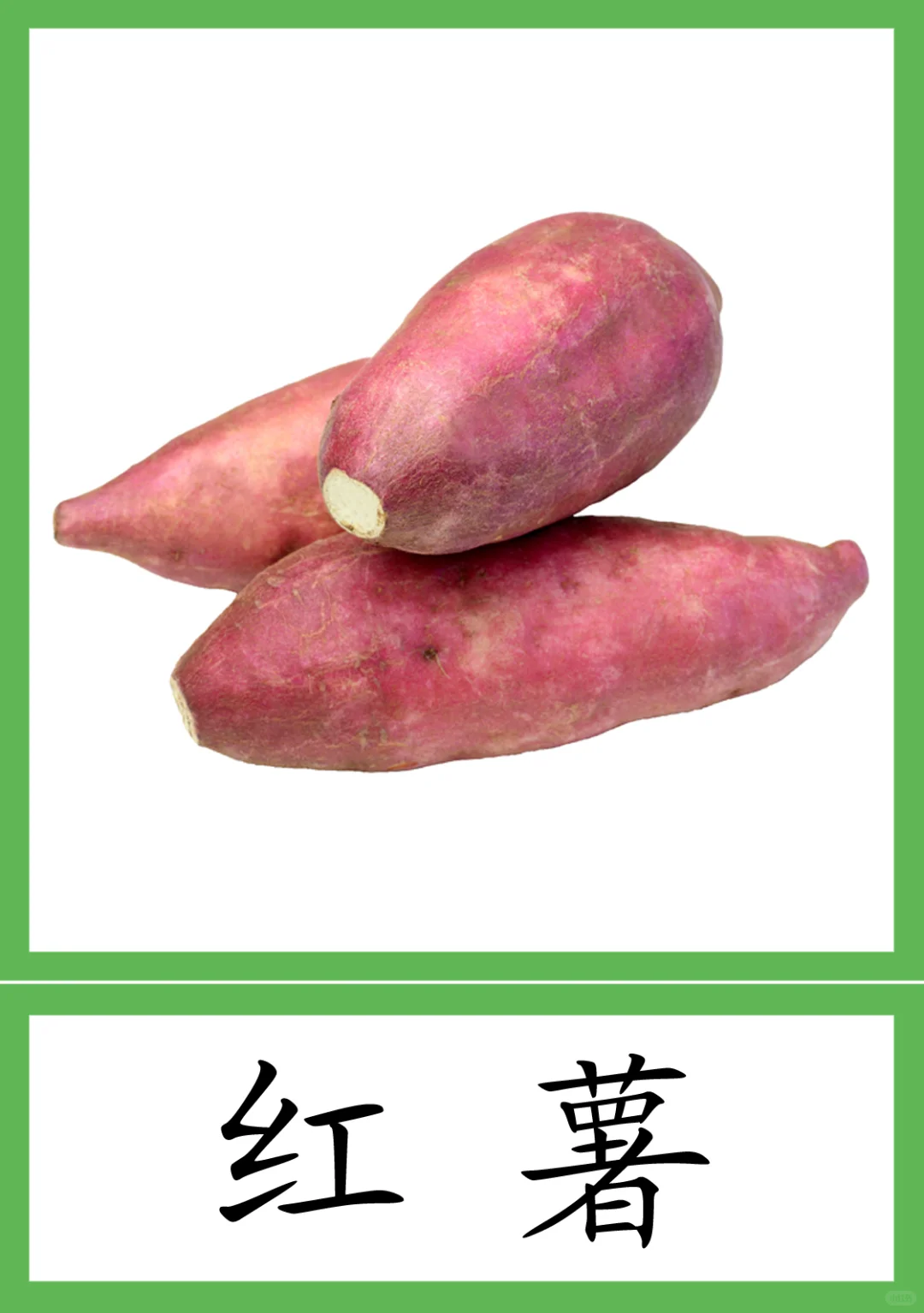 蒙氏植物素材28--粮食作物种类 三段卡