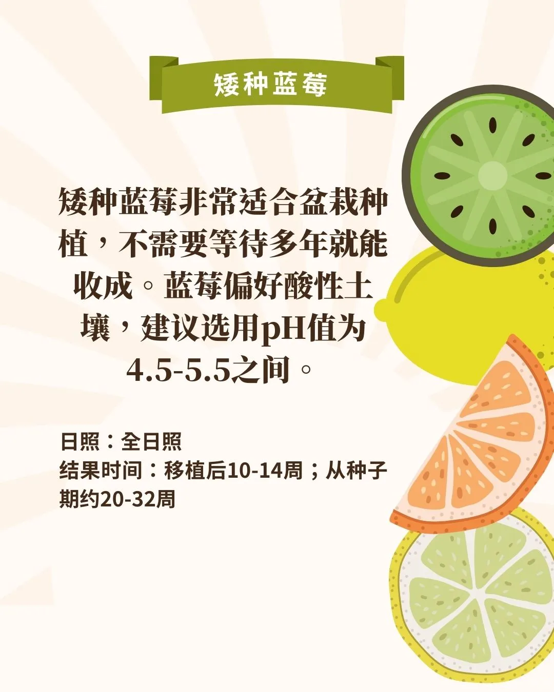 什么‼️懒人也可在家种水果?3个月就能吃到
