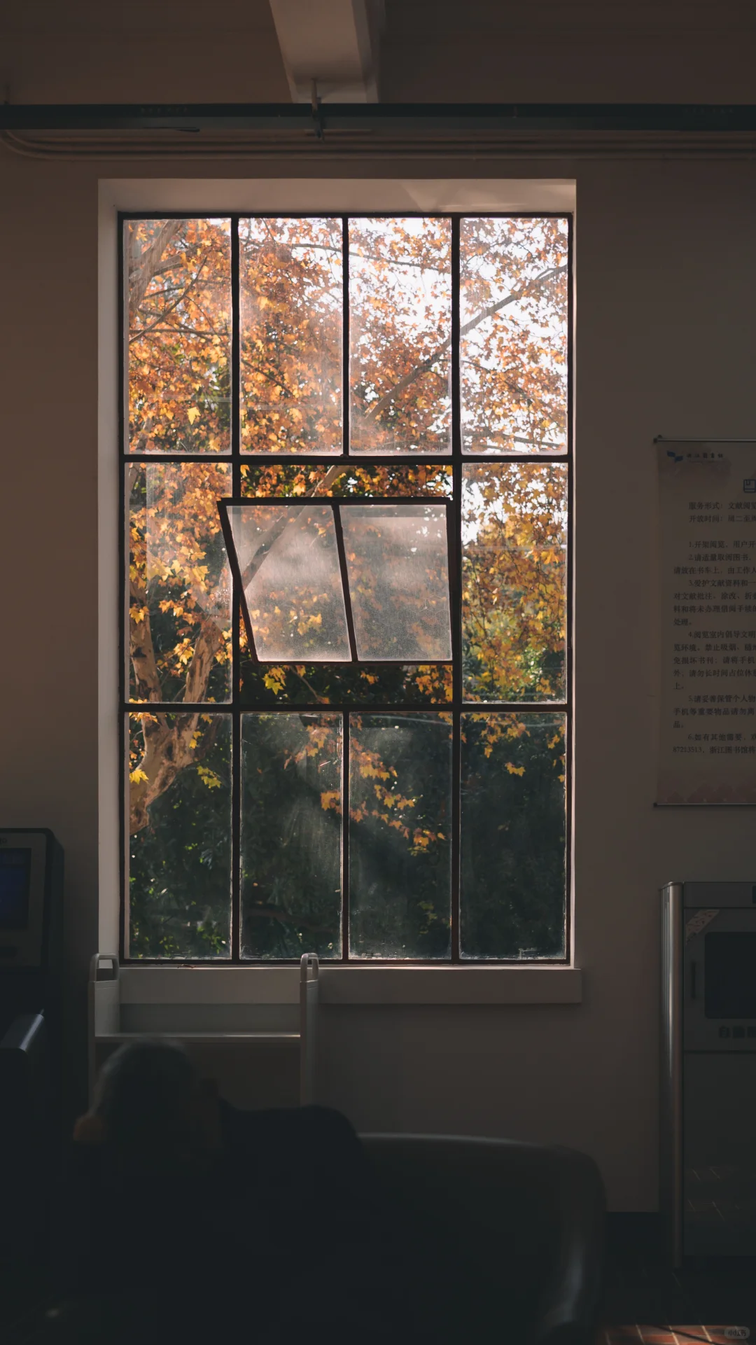 浙江图书馆大学路馆