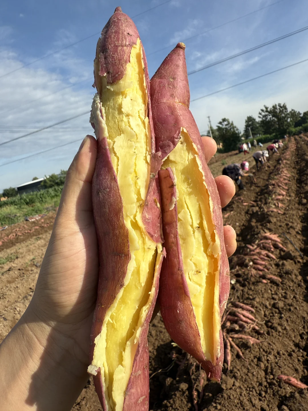 这才是中国宝宝该吃的神仙粗粮！?