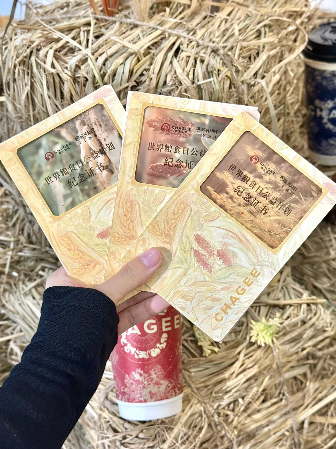 看看茶姬的粮食日周边?缩小版农作物超可爱